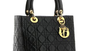 Diori Lady Dior. Gianfranco Ferrè. 1995. Nahk. Prantsusmaa. Foto: Günther Fulterer (Itaalia)